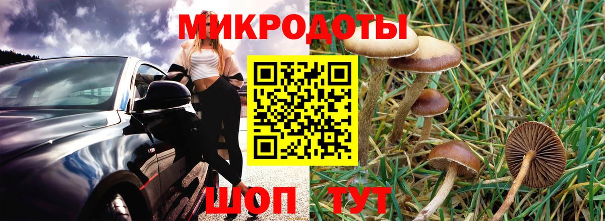 Псилоцибиновые грибы Magic Shrooms Елабуга