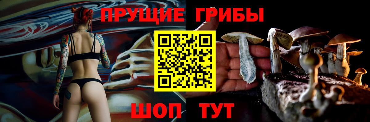 Псилоцибиновые грибы Cubensis  Вход с VPN  где купить наркотик  Елабуга 